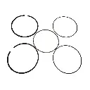 OA-PA-002(3).webp