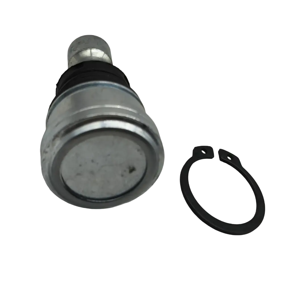 RO-PA-001(2).webp