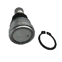 RO-PA-001(2).webp