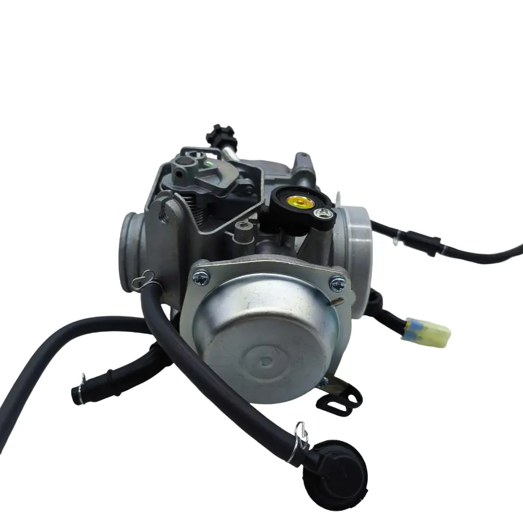 CA-HA-005.webp