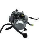 CA-HA-005.webp