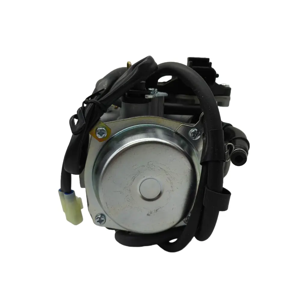 CA-HA-006(5).webp