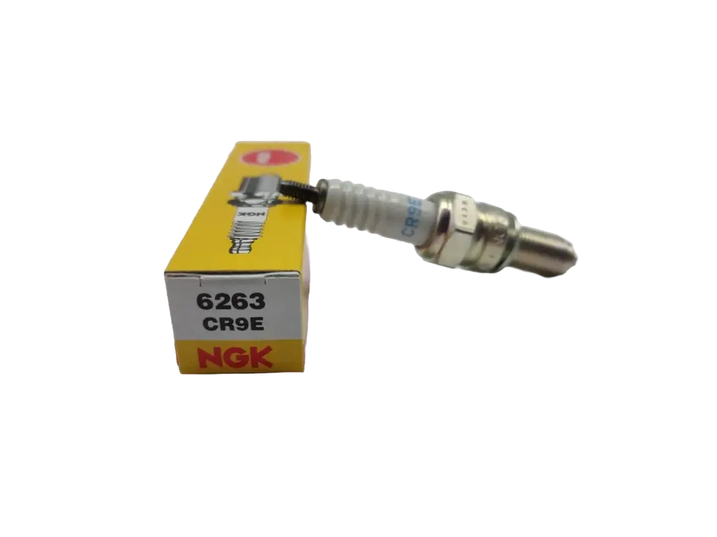 Bujia NGK CR9E