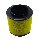 Filtro de Aire Honda TRX680 Rincon TRX500 05-11