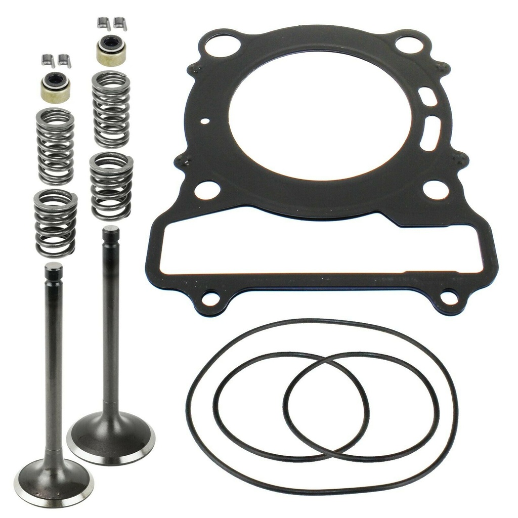 Set de Valvulas y Resortes Yamaha Kodiak Grizzly Wolverine Rhino 400 450