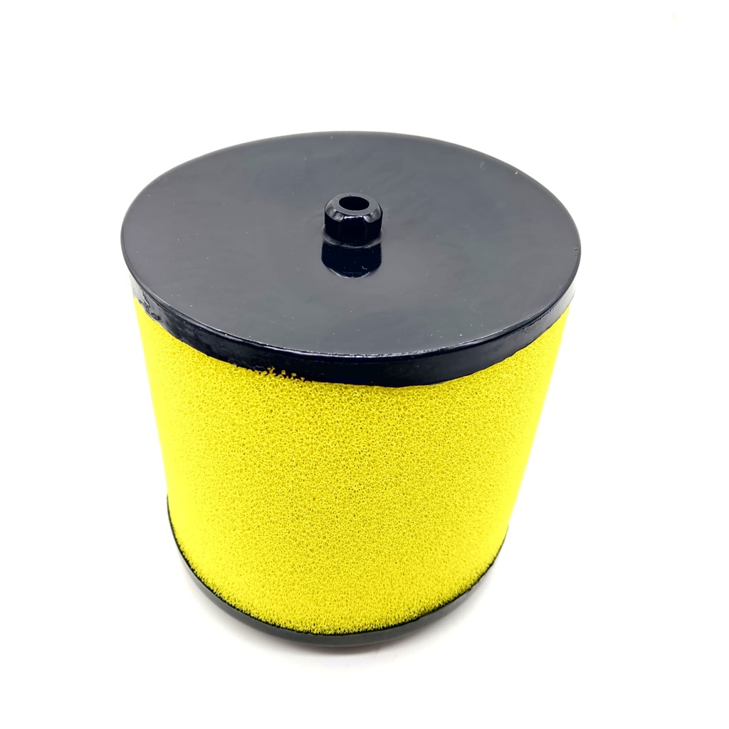 Filtro de Aire Honda TRX680 Rincon TRX500 05-11