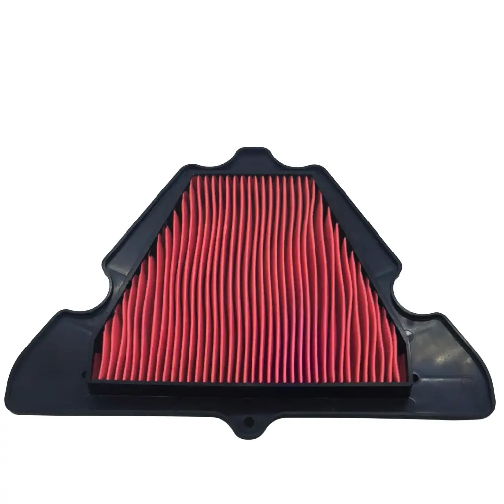 Filtro de Aire EMGO Kawasaki ZR1000 ZX1000 Ninja 1000 Z1000 2011-23 Versys 12-21