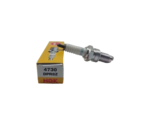 [BJ-UN-04730] Bujia NGK DPR8Z
